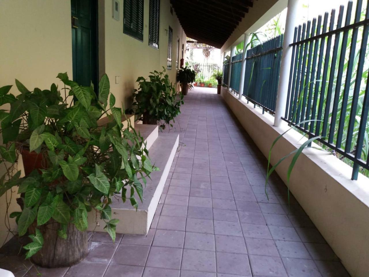 Ribeira Grande Country House Cha de Arroz Экстерьер фото