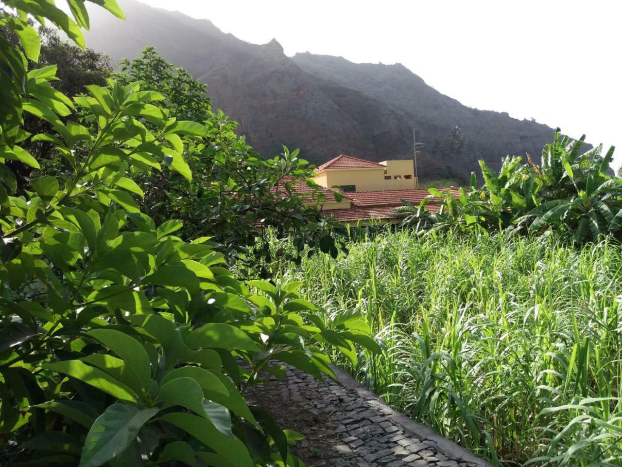 Ribeira Grande Country House Cha de Arroz Экстерьер фото